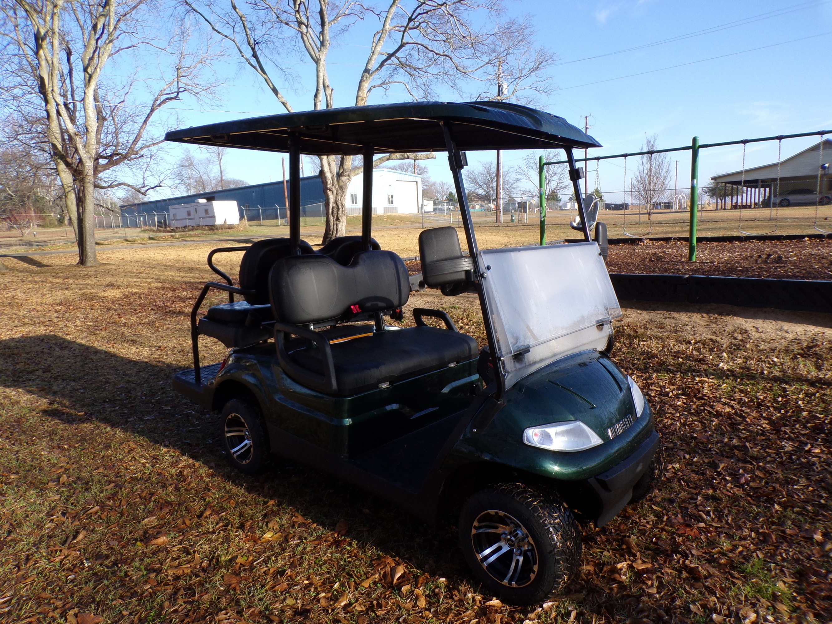 image of a Blue Golf cart for Rental
